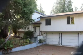 Introducing 1303 Birch St