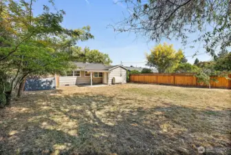 Large Yard