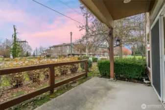 Patio looking south