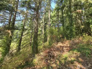 Land starts where trail ends.