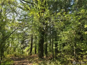Land starts where trail ends.