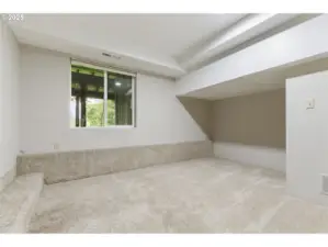 Lower Level Bedroom