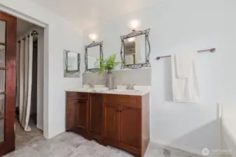 Double vanity sinks