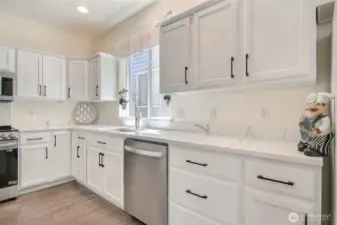 New SS Dishwasher