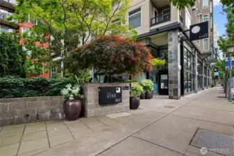 Come experience life at the Vine. Exceptional 24 hr concierge staff with polite service take great care of you.
