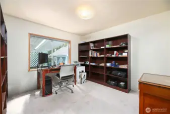Incredible Den/Office Space