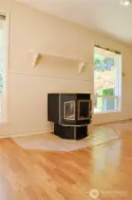 Pellet Stove to keep you warm on cool nights!