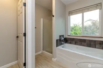 5-piece bath in primary bed