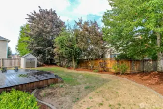 spacious garden