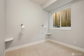 Lower level 4th guest bedroom.