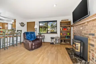 Den with pellet stove