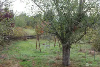 Swing set in the backyard