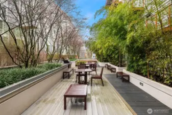 Outdoor entertaining spacce