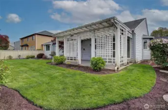 Backyard/Patio