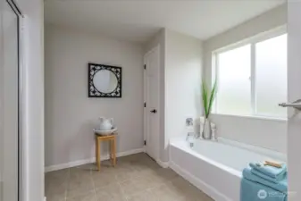 Ensuite bath with soaking tub.