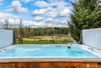 Amazing views from the swim spa/hot tub.