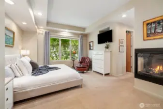 Primary Bedroom - Fireplace