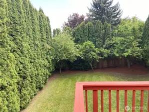 The arborvides trees create a peaceful area to enjoy. Beautifully maintained landscaping and backyard.
