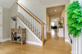 Living space remains private behind this light filled entry.
