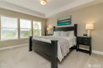primary bedroom upstairs with a view