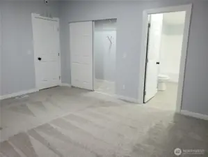A Different View of the Primary Master Bedroom Showing Cathedral Ceilings, All New Paint, Trim and Carpeting, Looking into the Huge Walk In Closet and Primary Bathroom.