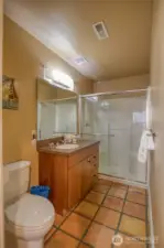 Lower Level Bathroom