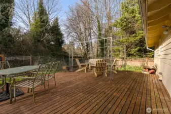 Private deck surrounded by mature trees, offering a peaceful, green backdrop and multiple seating zones.