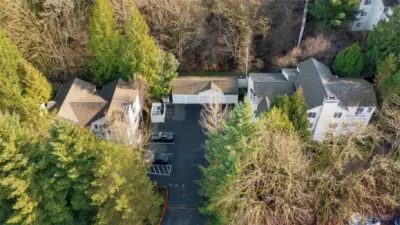 Complex is nestled into mature trees