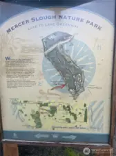 Across the street from the Mercer Slough Park