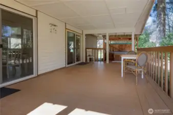 Covered patio and hot tub