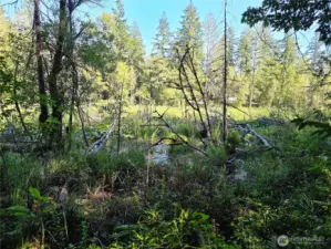 Beautiful ponds edge proeprty