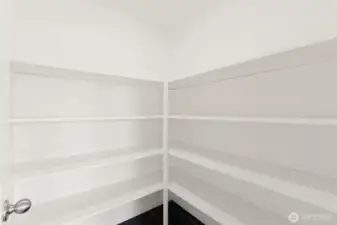 Large Pantry with lots of shelving
