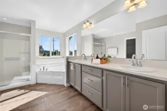 Bright ensuite featuring a large soaker tub, double vanity, walk-in shower, and abundant natural light from double windows.