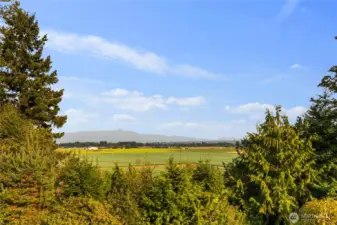 Overlooking the Skagit Valley Farmlands & Cascade mountains.