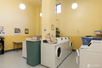 Common laundry room with several washers and dryers.