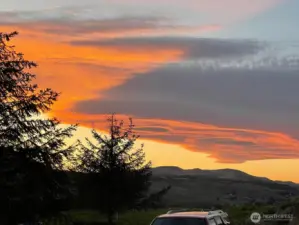 View from the driveway