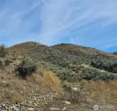 View of hills behind hobby shed