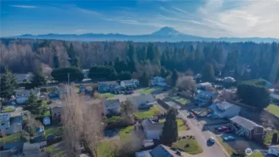 Birdseye view of neighborhood and mountain in the distance.