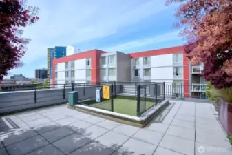 Pet relief area on the rooftop