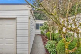 Walkway to front entry