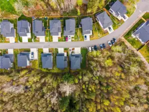 Surrounded by trees in a nature reserve.