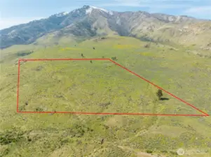Property lines are approximate