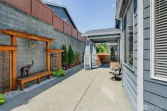 Another view.  No need for a lawnmower in this yard.