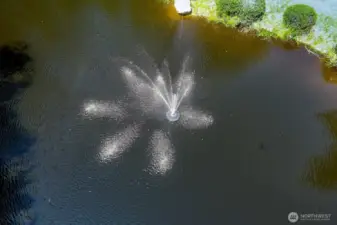 Soothing Aeration fountain keeps pond sparkling.