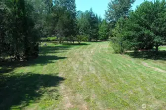 Area between the main house and guest studio and pond is an open field surrounded by fruit trees.