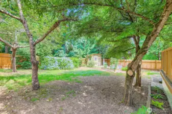 Backyard