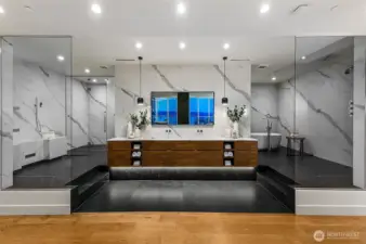spa inspired marble European primary bath