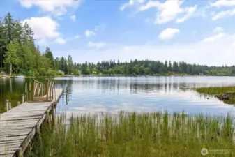 Serenade location