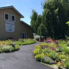 Welcoming garden pathway
