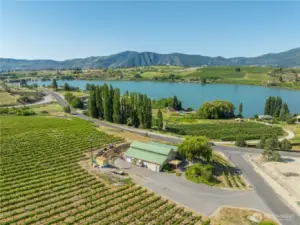 Spectacular view of Roses Lake from the Winery/vineyard